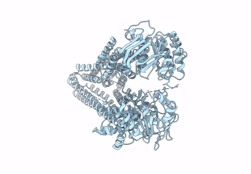 9NFI image