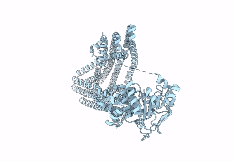9NFK image