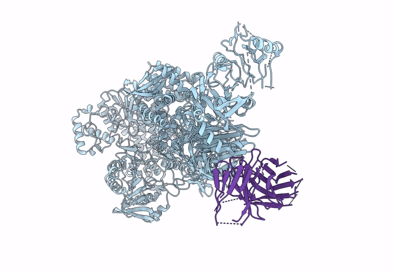 9NFU image