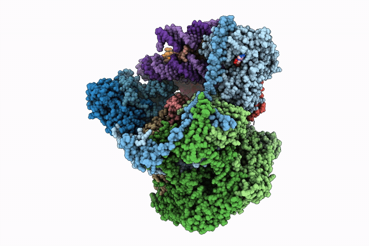 9NFV image