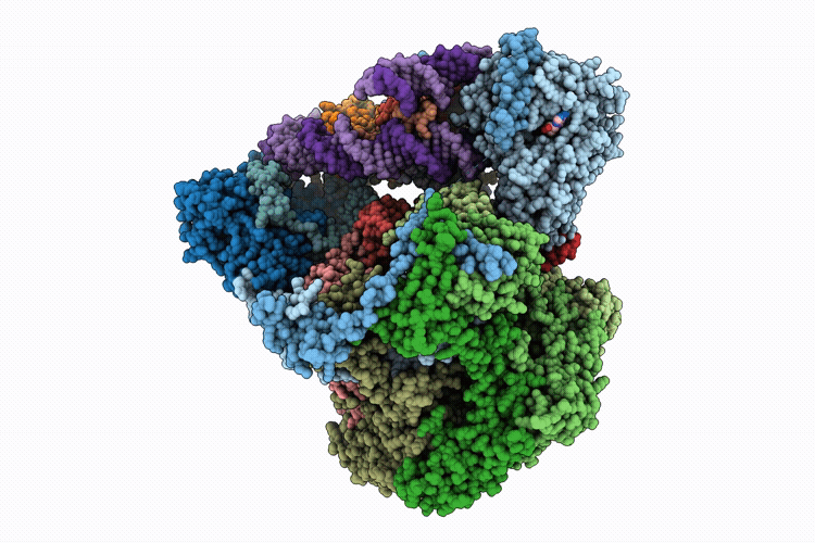 9NFX image