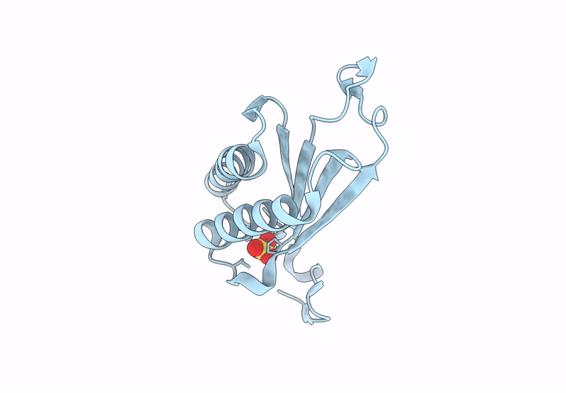 9NGB image