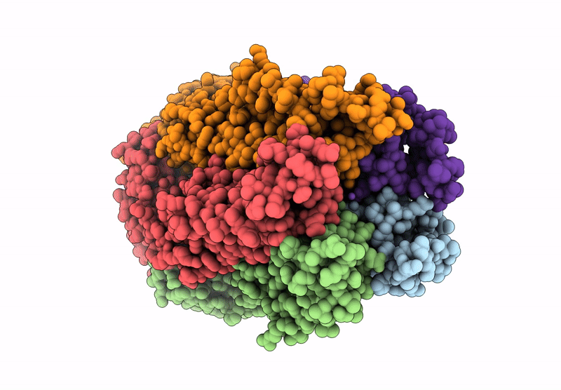 9NGI image
