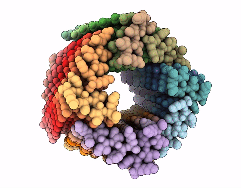 9NGK image