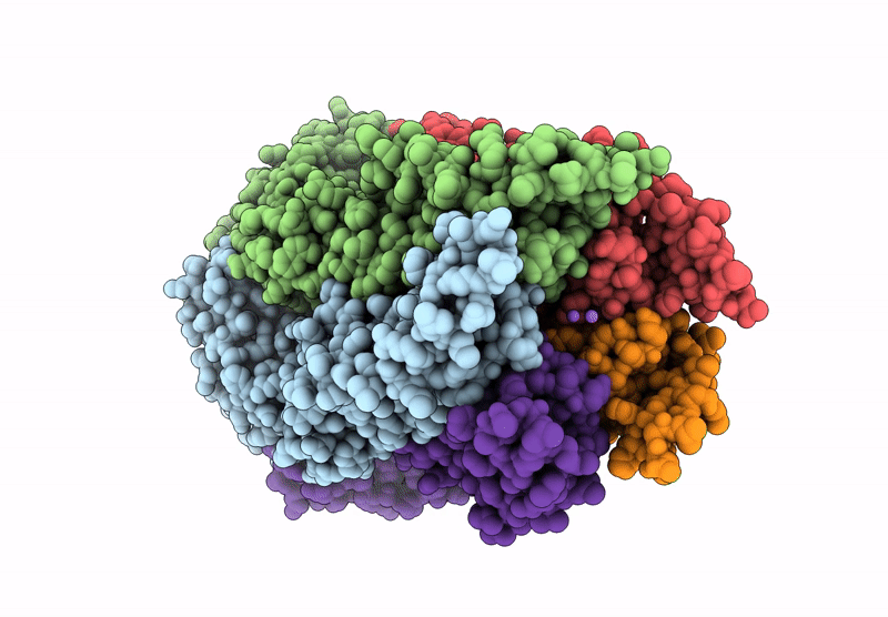 9NGS image