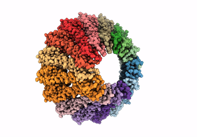 9NGW image