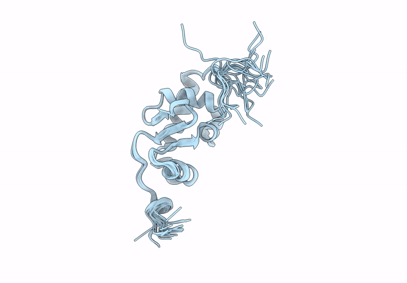 9NGX image