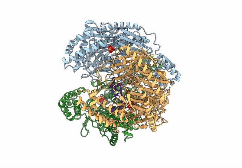 9NJB image