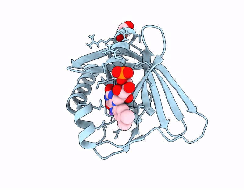 9NK4 image