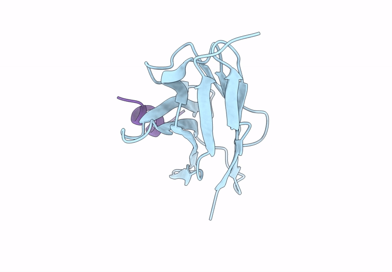 9NK9 image