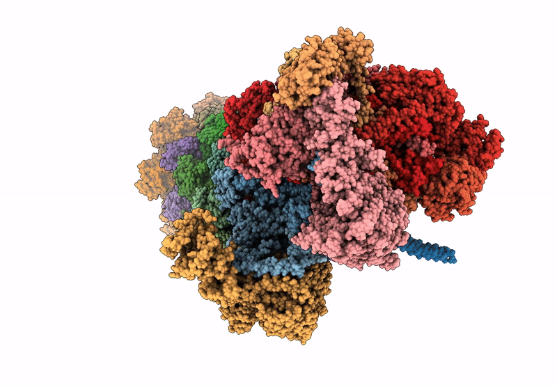 9NKF image
