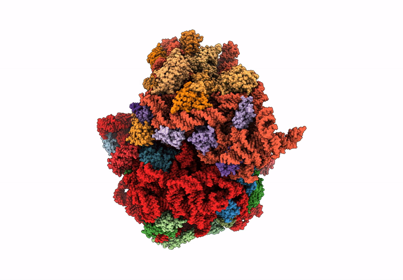9NLF image