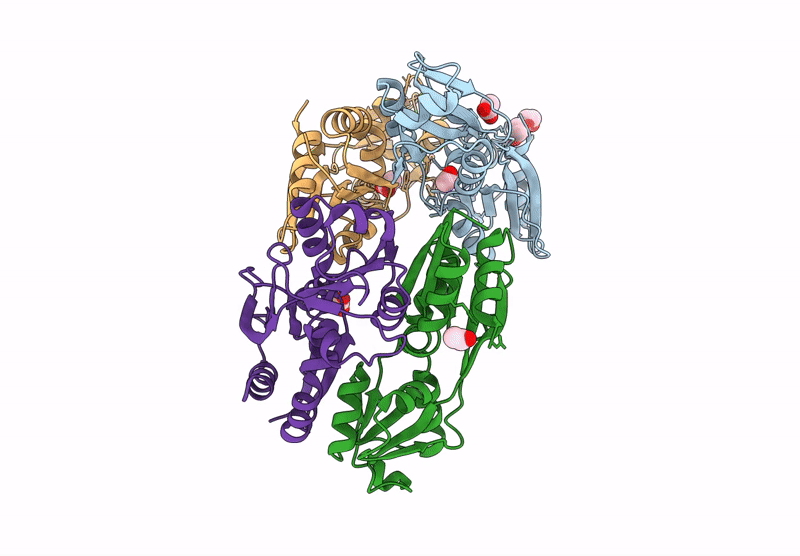 9NLM image