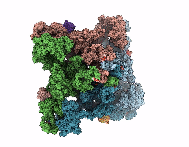 9NMO image