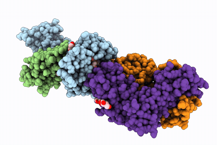 9NMV image
