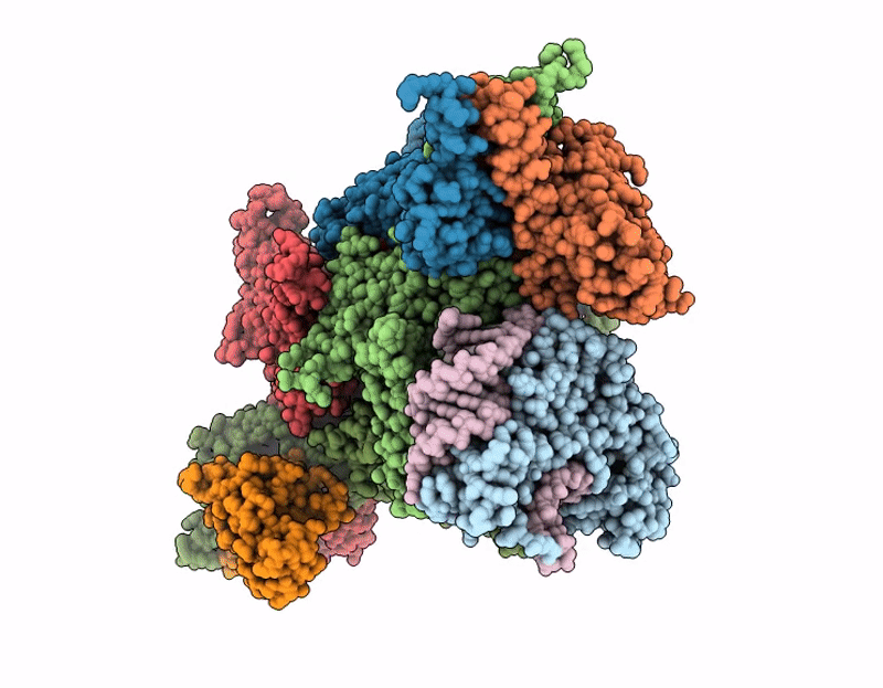 9NNB image