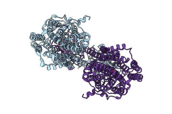 9NNC image