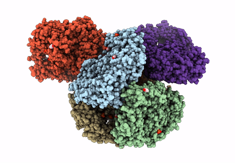 9NPF image