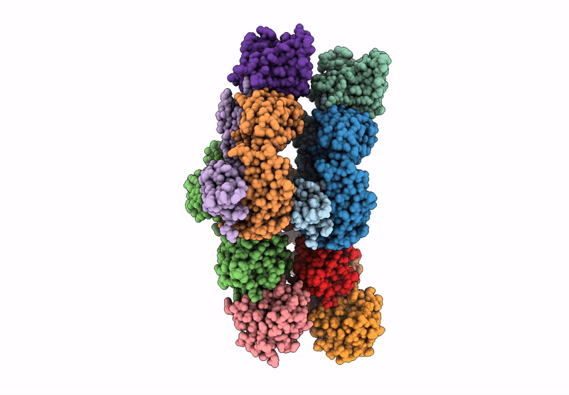 9NPG image