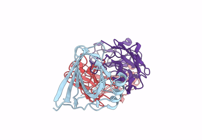 9NPI image