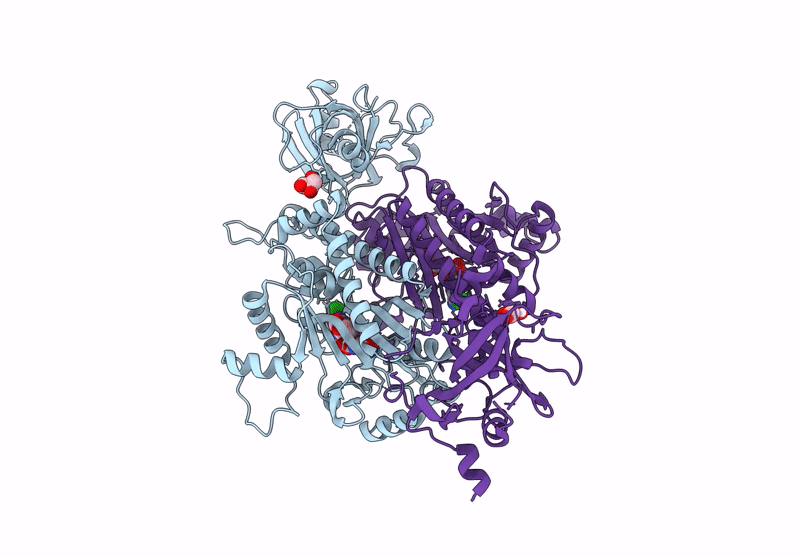 9NPJ image