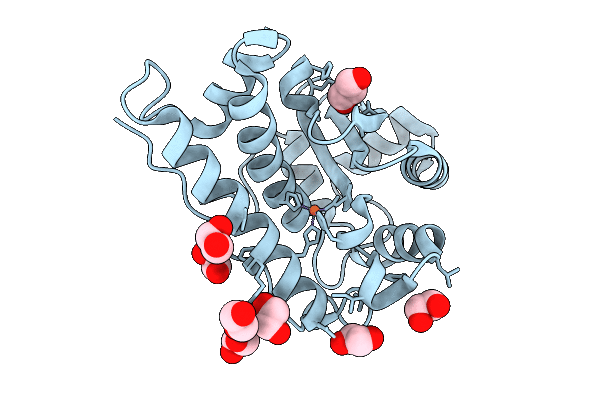 9NPP image