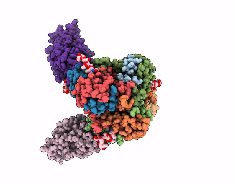 9NPR image