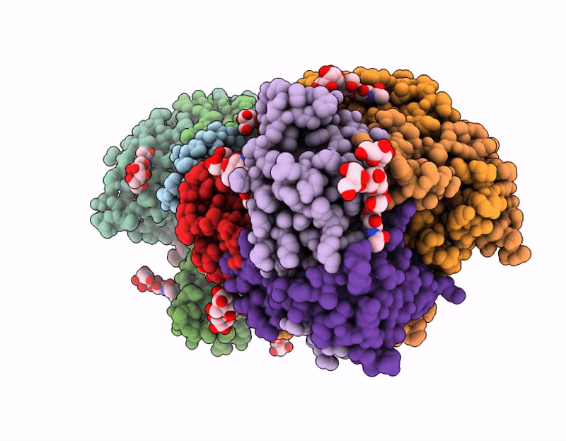 9NPS image