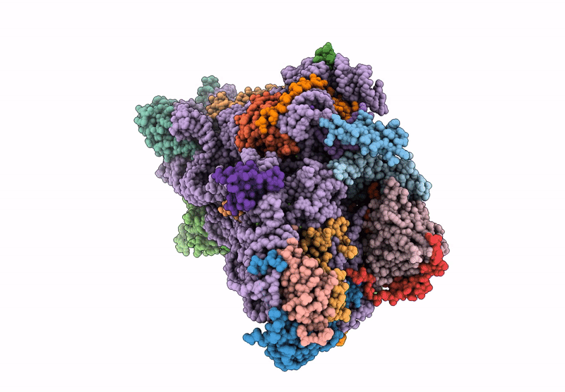 9NPX image