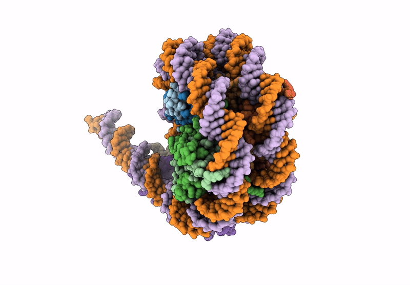 9NQU image