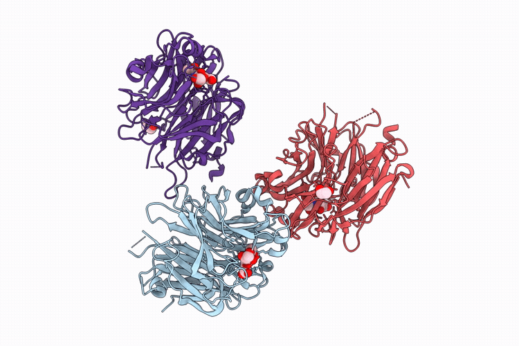 9NQX image