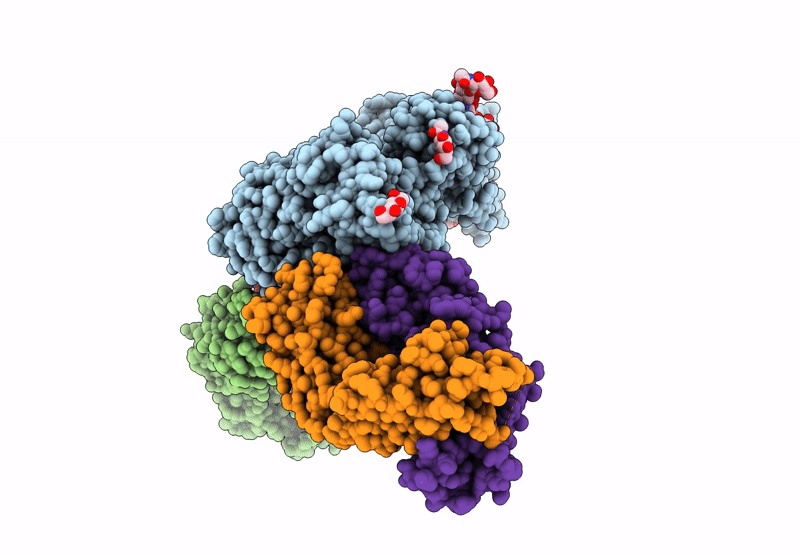 9NRC image