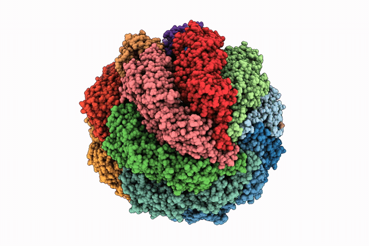 9NRF image