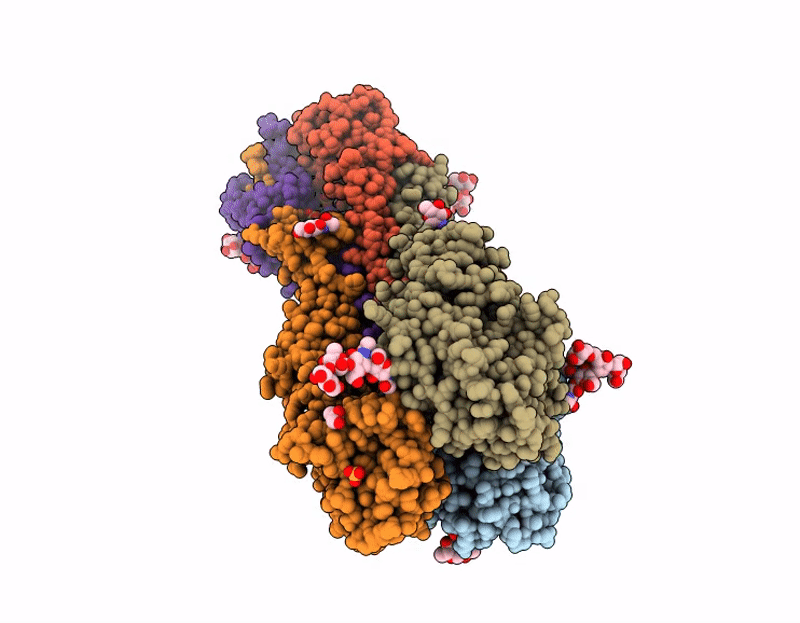 9NRV image