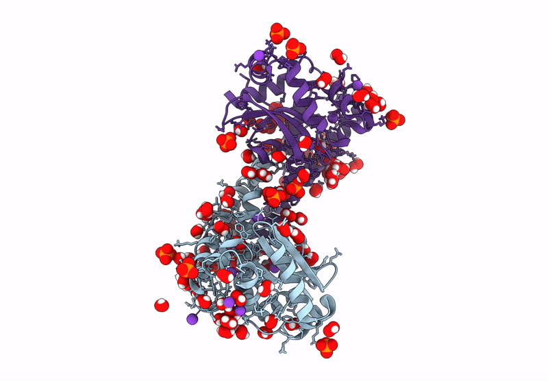9NSJ image