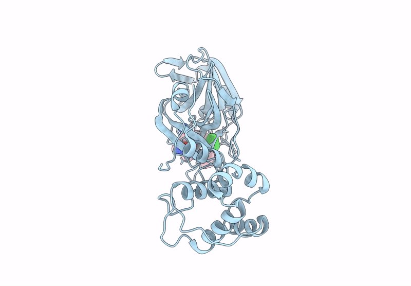 9NSK image