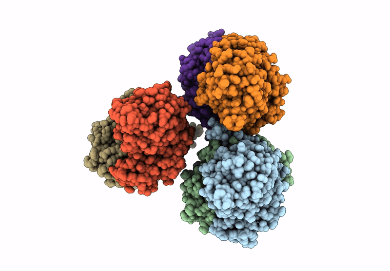 9NSS image