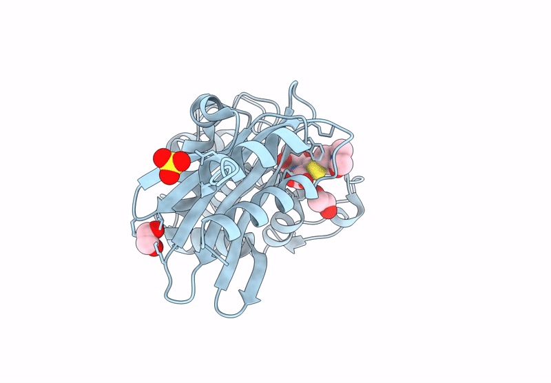 9NSZ image