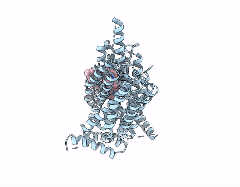 9NTC image