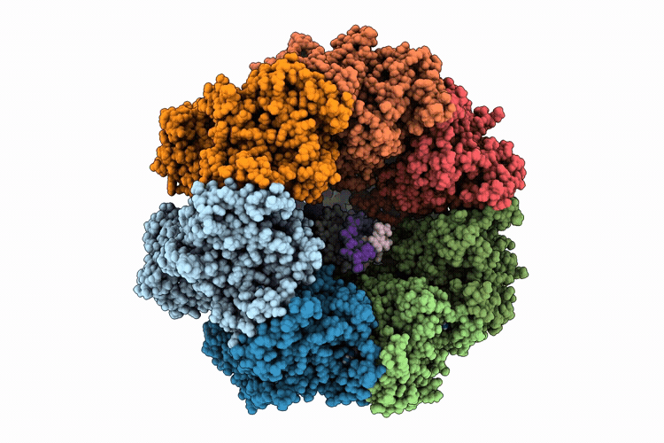 9NUS image