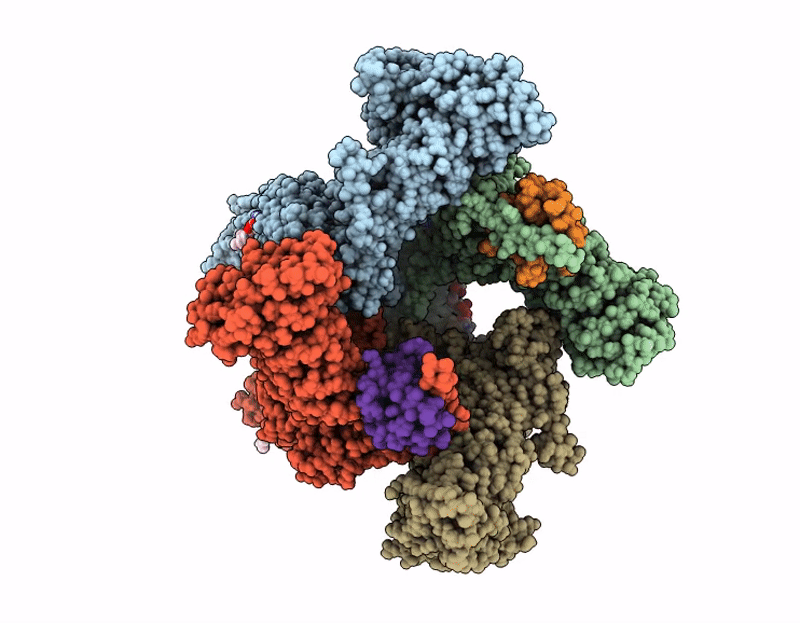 9NVN image