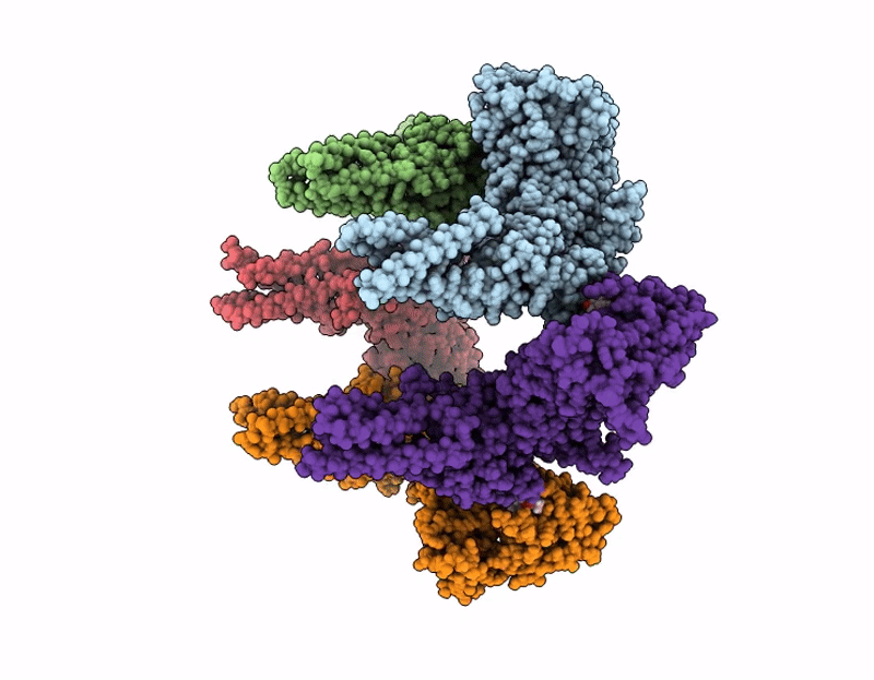 9NVS image