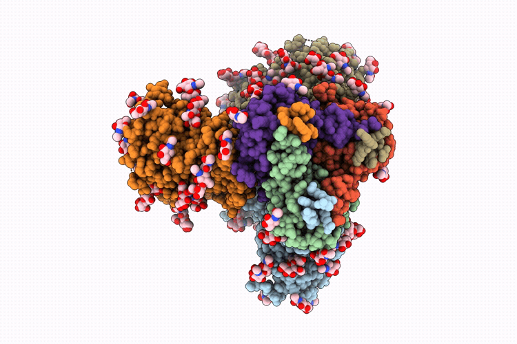 9NVV image