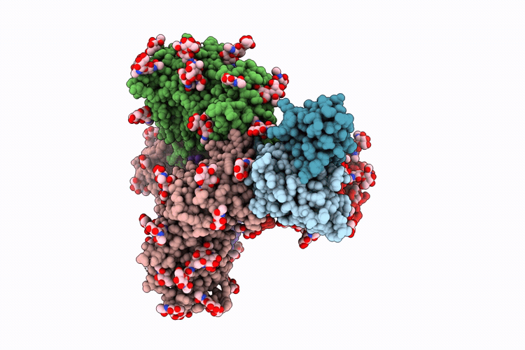 9NVX image