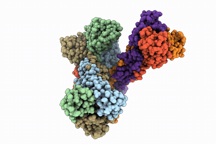 9NX3 image