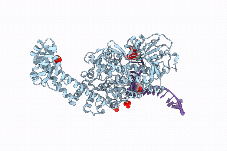 9NX4 image