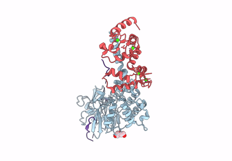 9NXE image