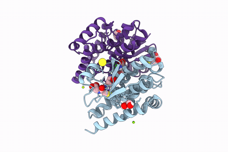 9NXU image