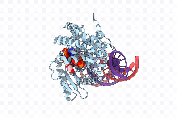 9NYB image