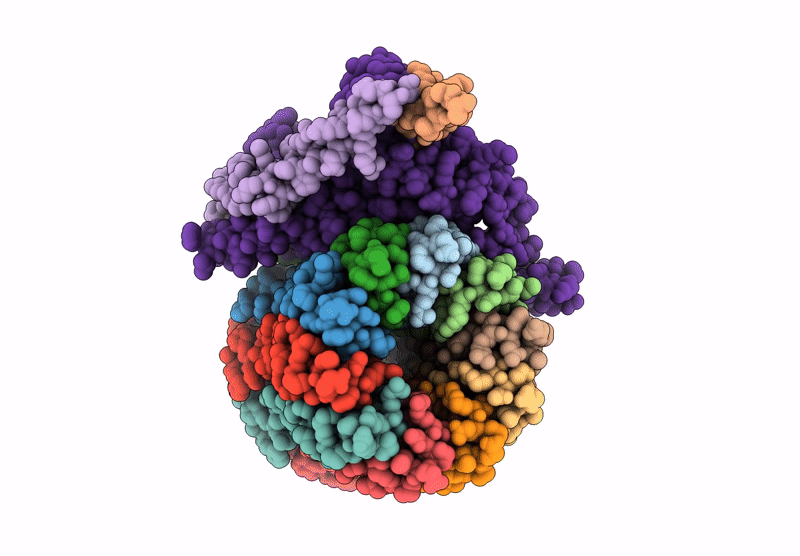 9O1B image